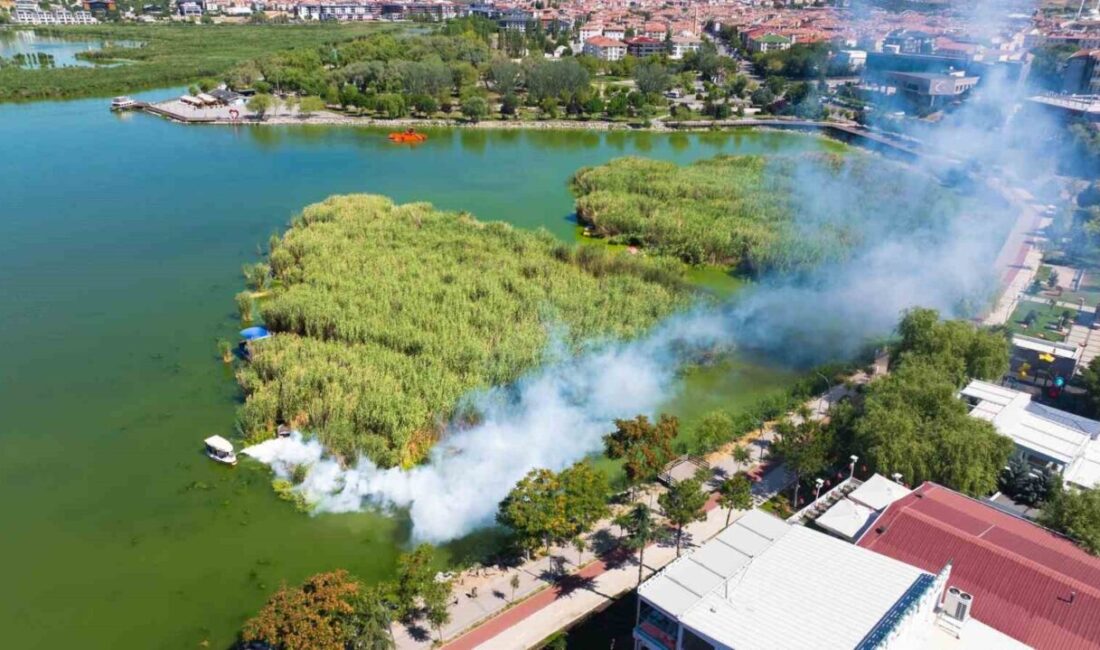 Gölbaşı Belediyesi, Mogan Gölü'nde