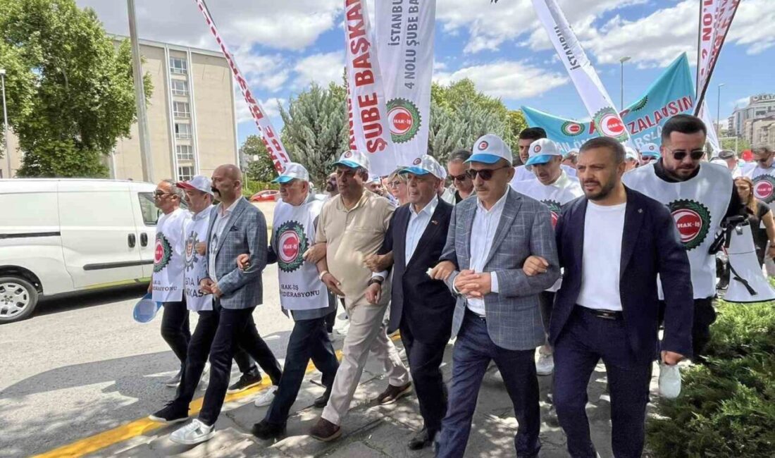 HAK-İŞ, Kamu Toplu İş
