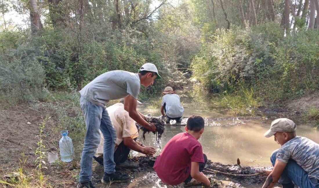 Yozgatlı çocuklar, kuruyan nehir nedeniyle hayvanları için gölet inşa etti.