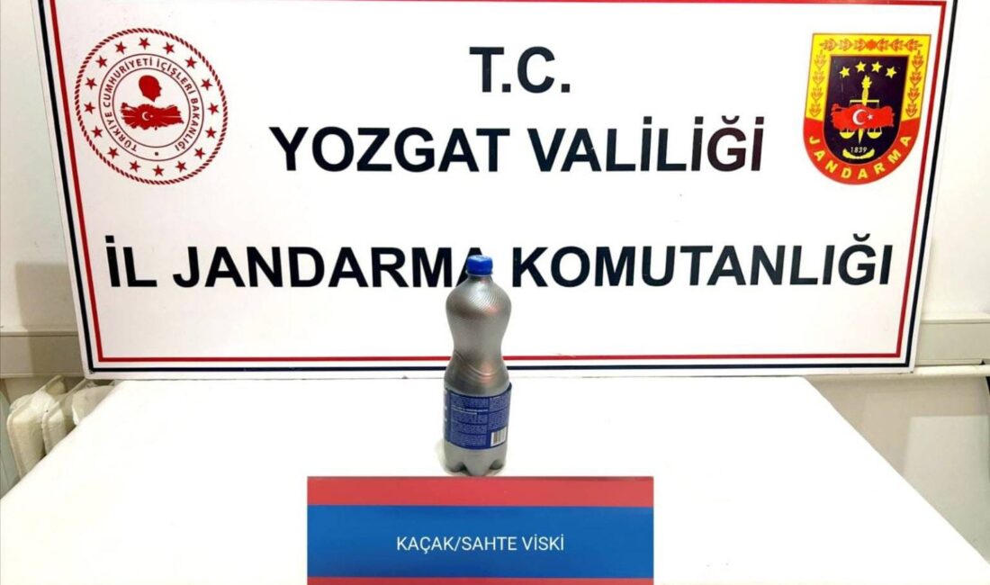 Şefaatli’de Sahte İçki Operasyonu: