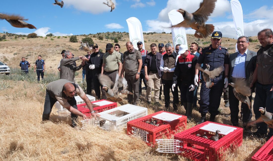 Yozgat Valiliği’nin öncülüğünde yürütülen
