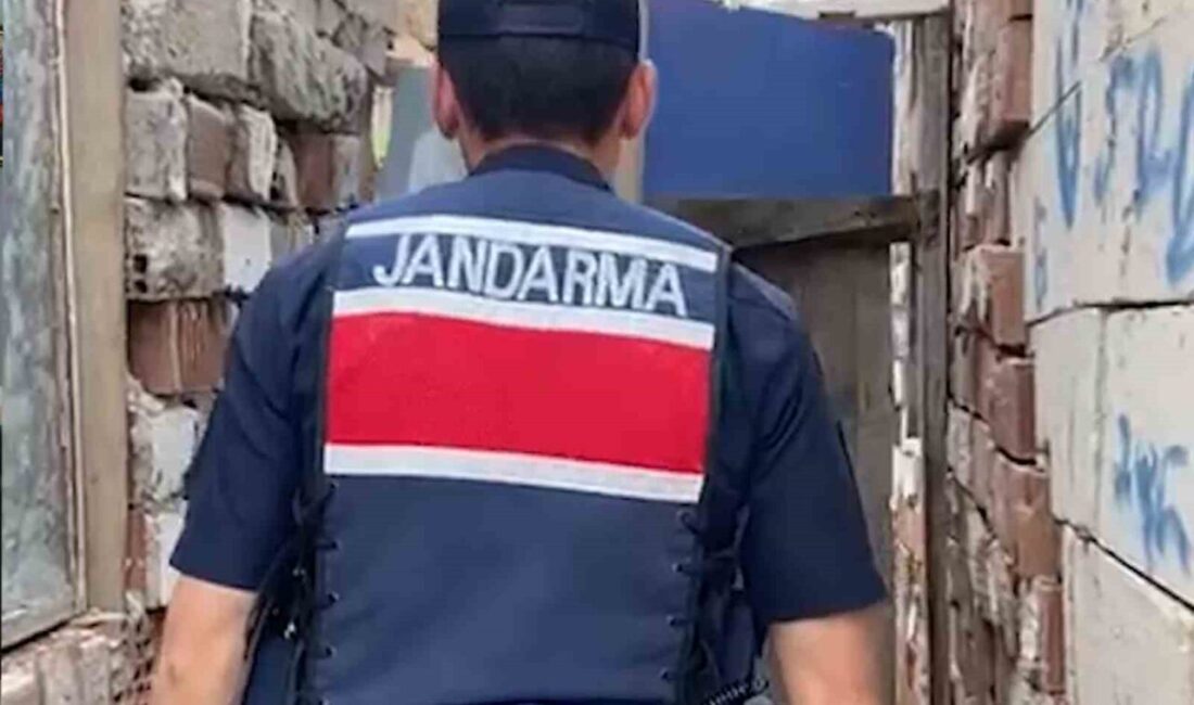 Kırıkkale'de jandarma operasyonunda 1053