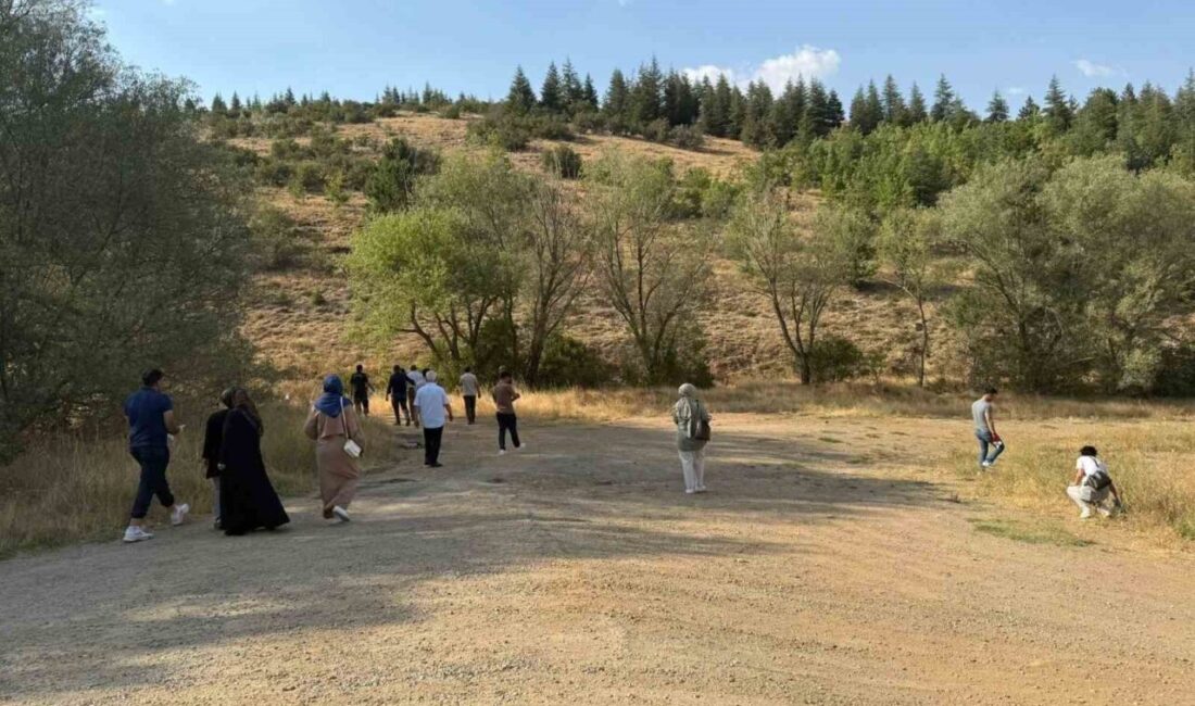 Kırşehir Boztepe'de jandarma önderliğinde yapılan çevre temizliğinde 150 kg cam,