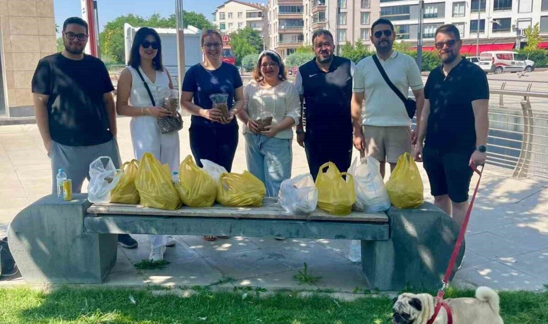 Kırşehir Barosu Genç Avukatlar Komisyonu, sokak hayvanlarına destek olmak için