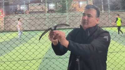 Kırşehir'de Yasin İlhan Yavuz adlı vatandaş, yaralı bir ebabil kuşunu