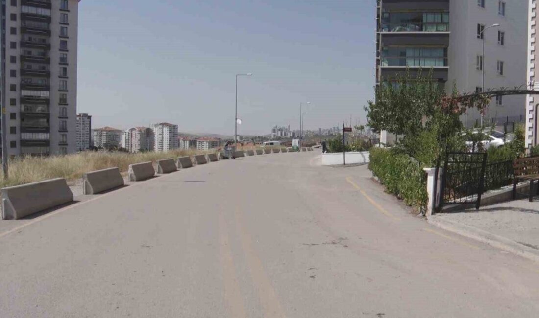 Ankara'nın Mamak General Zeki Doğan Mahallesi'nde iki genci çarpan alkollü