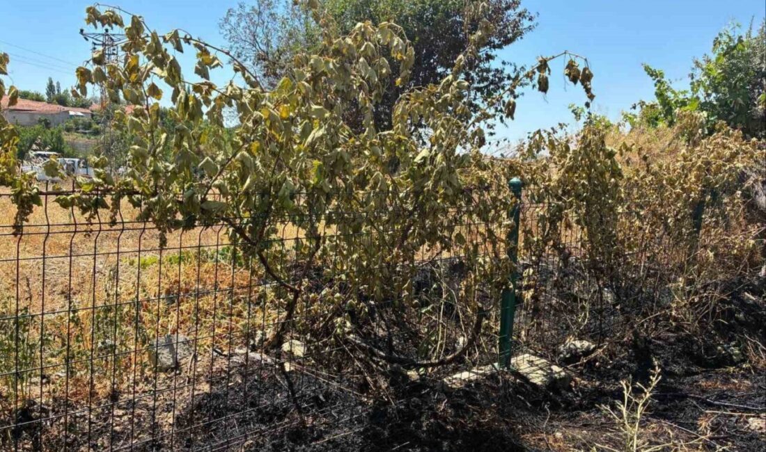 Yozgat'ta elektrik direğinden kopan kablo yangına sebep oldu. Olay sonucunda