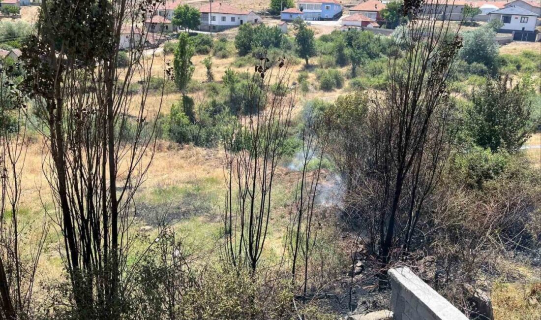 Kuru otları temizlemek isterken yangın çıkarttı, 2 bin 953 lira para cezası verildi İ.V. isimli vatandaşın yangın