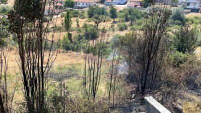 İ.V. isimli vatandaşın yangın çıkaran kuru otları temizleme girişimi, 2.953