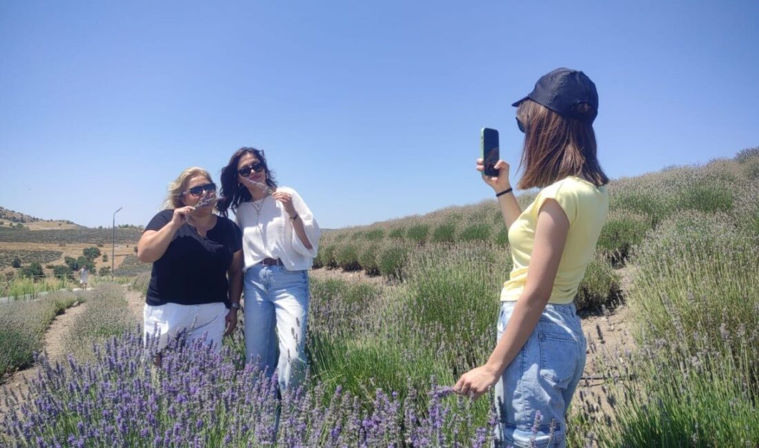 Auran Kozmetik, Çekerek Lavanta Adası'nda doğayla bütünleşen bir etkinlik düzenleyerek