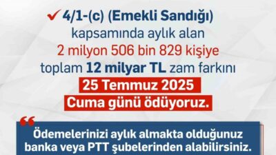 SGK, Emekli Sandığı aylık alıcılarına temmuz ayı zam farkını 25