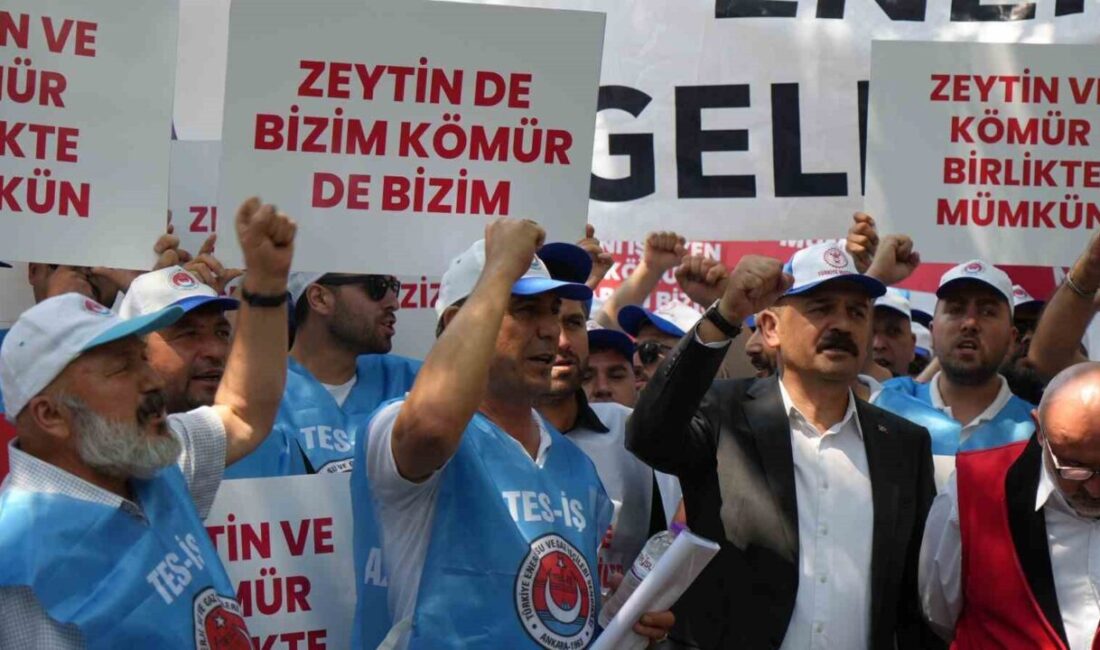 Milaslı muhtarlar ve TES-İŞ Sendikası yeni Maden Yasası'na destek vererek