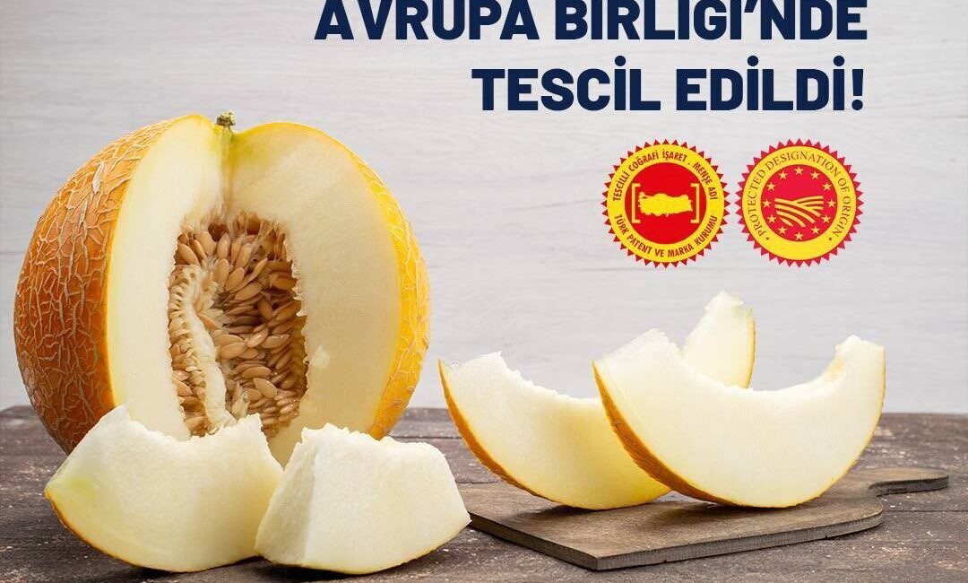 AB tarafından Mut zeytinyağı ve Kırkağaç kavunu coğrafi işaretli ürün