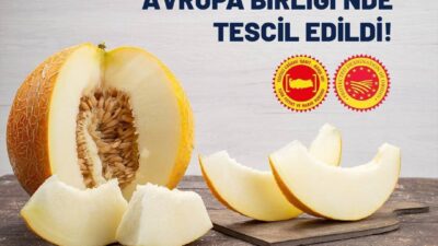 AB tarafından Mut zeytinyağı ve Kırkağaç kavunu coğrafi işaretli ürün