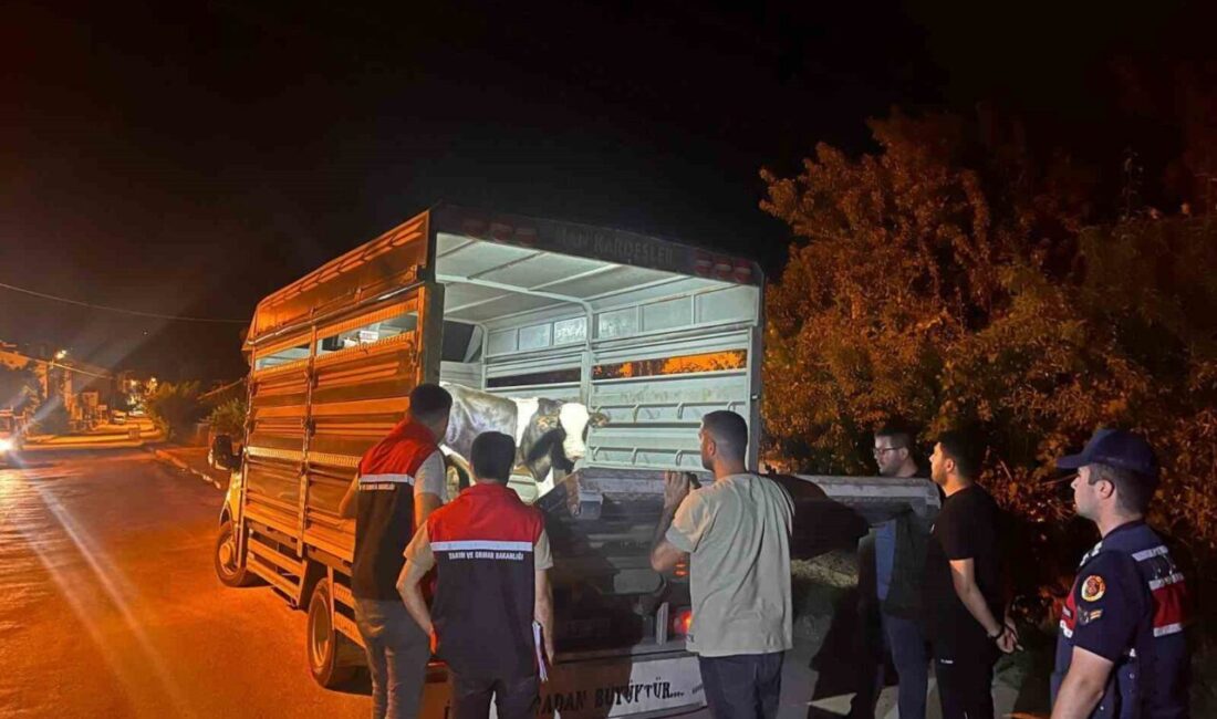 Çayıralan'da şap hastalığı tedbirlerine uymayan besiciye 105 bin lira idari