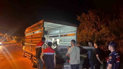 Çayıralan'da şap hastalığı tedbirlerine uymayan besiciye 105 bin lira idari