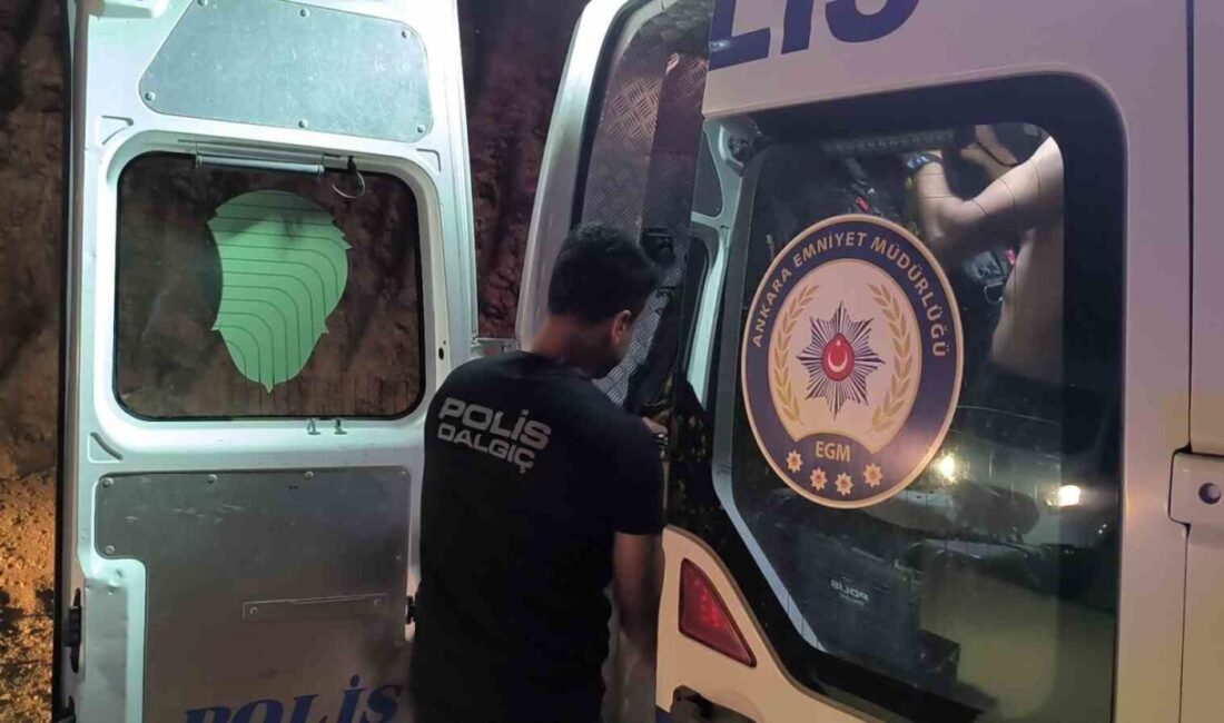 Irak uyruklu genç, Kırşehir'deki gölette boğularak hayatını kaybetti. Arkadaşı durumu