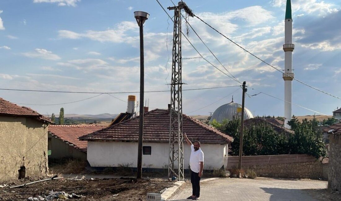 Yozgat’ın Sorgun ilçesine bağlı Mirahor Köyü'nde, 20 yıllık leylek yuvası