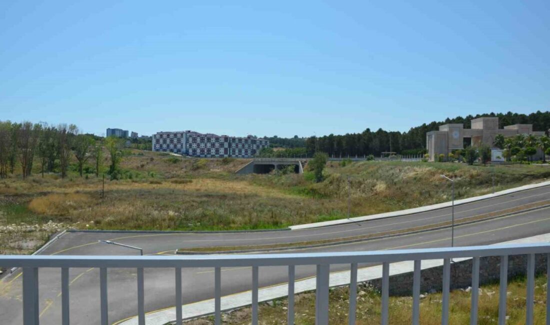 Sinop'ta kurulan Teknopark, akademik bilgiyi sanayiyle buluşturarak yerel kalkınmaya katkı