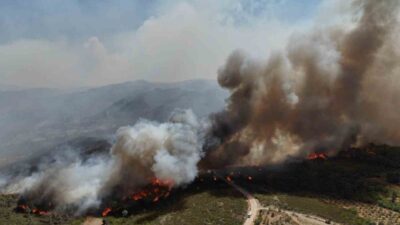 Suriye'nin Lazkiye ilinde çıkan orman yangınlarında itfaiye erleri alevler arasında