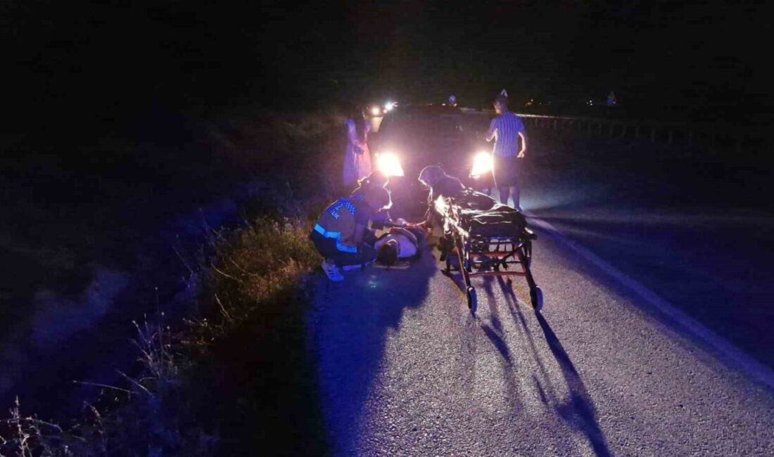 Çorum Alaca'da hafif ticari aracın şarampole devrilmesi sonucu yaralanan 16