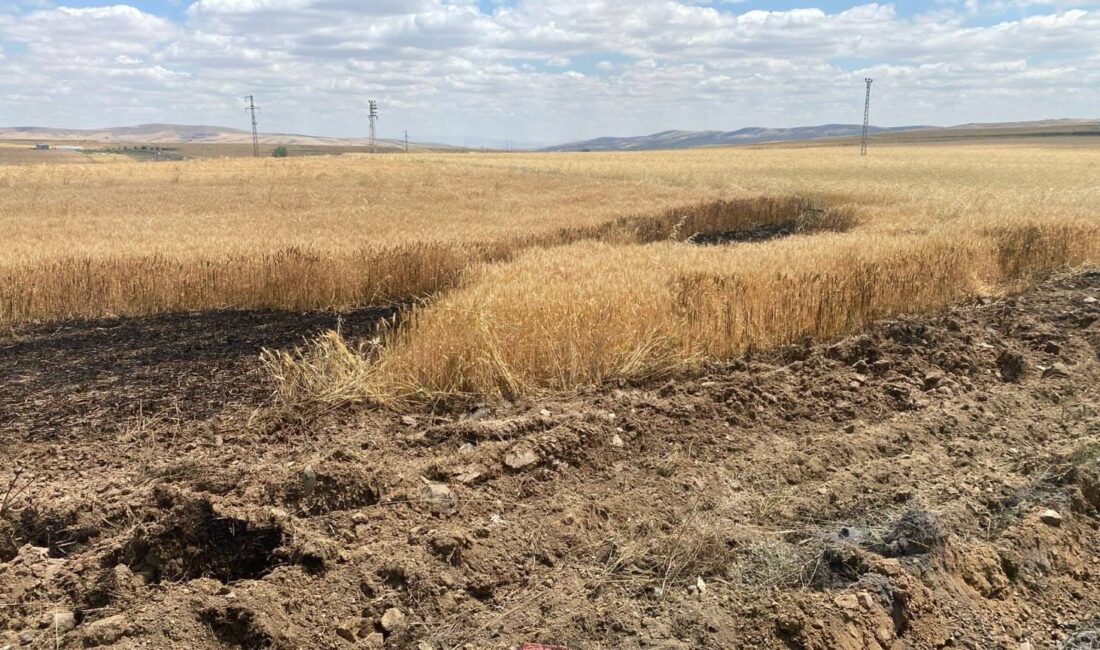Yozgat Azizlibağları Mahallesi’nde buğday