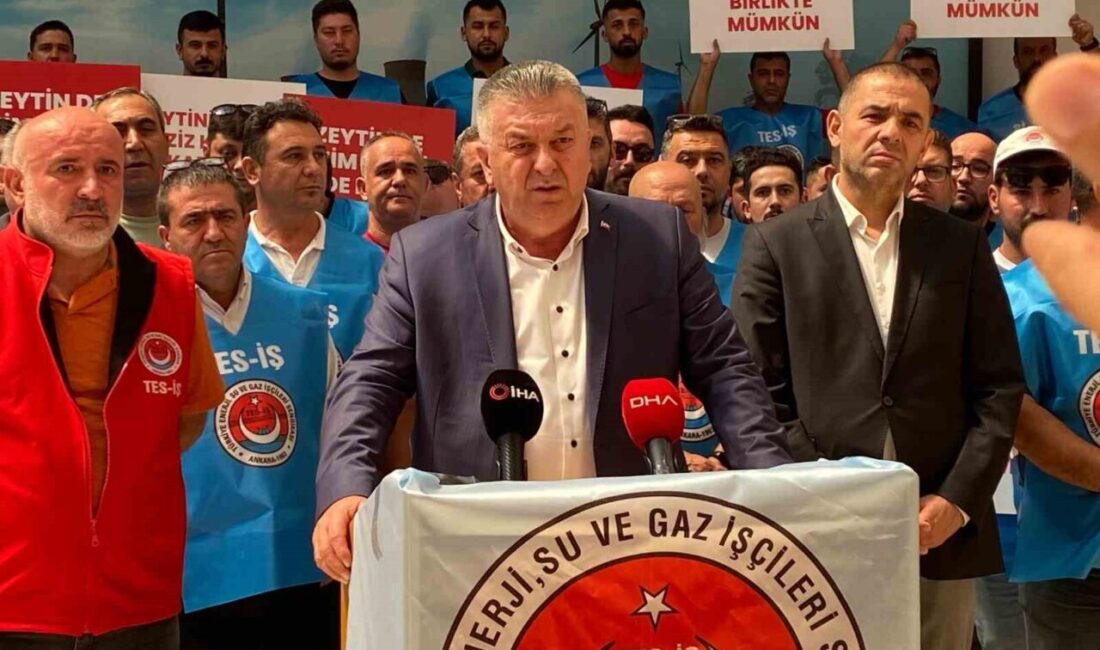 TES-İŞ Genel Başkanı İrfan Kabaloğlu, yaptığı açıklamada çevrenin, zeytinin ve