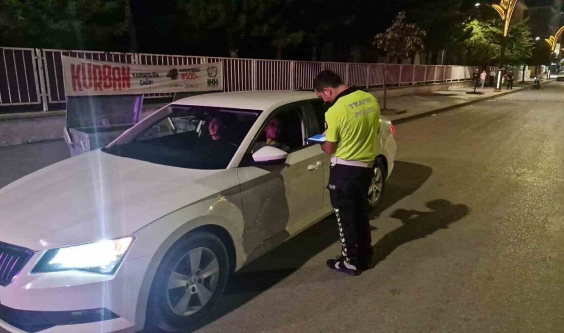 Çorum'un Alaca ilçesinde yapılan asayiş uygulamasında 15 araç sürücüsüne toplam