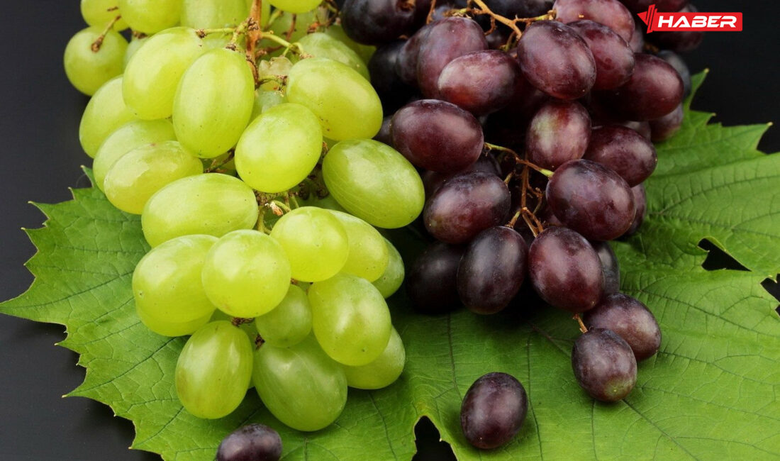 Yaz mevsiminin gözdesi üzüm, yalnızca lezzetiyle değil, içerdiği vitaminler, mineraller