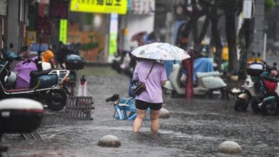Hong Kong'ı vuran Wipha Tayfunu, 26 kişiyi yaraladı ve 471