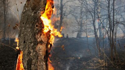 Yerköy'de Aşırı Sıcaklara Dikkat! Yangın Riski En Üst Seviyede
