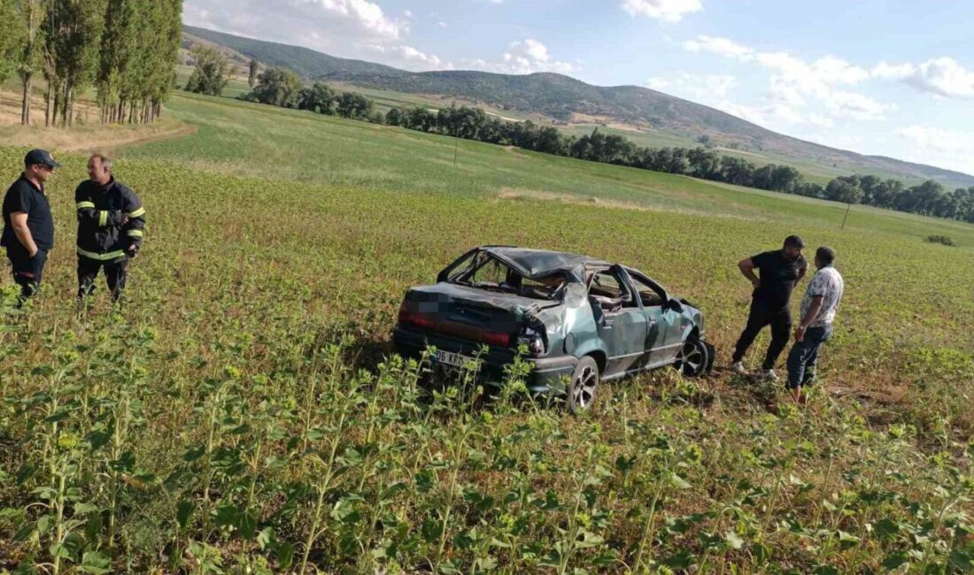 Yoldan çıkan otomobil tarlaya uçtu :1 yaralı Çorum'un Alaca ilçesinde meydana