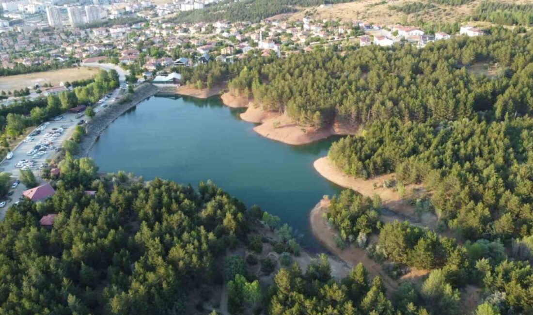 Yozgat'ta orman yangınlarının ardından alınan ateş yakma yasağı, Çamlık Milli