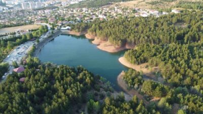 Yozgat'ta orman yangınlarının ardından alınan ateş yakma yasağı, Çamlık Milli