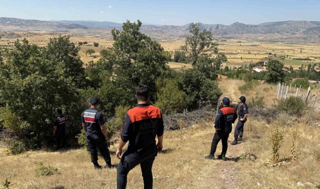 Yozgat'ın Aydıncık ilçesinde 10 gün önce Alzheimer hastası olan 95