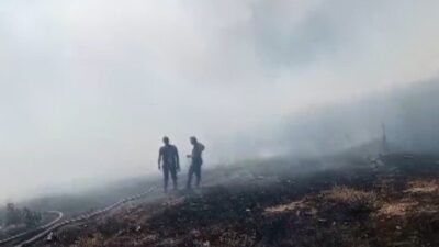 Yozgat'ta hasat edilen arazide çıkan anız yangınında panik yaşandı. İtfaiye