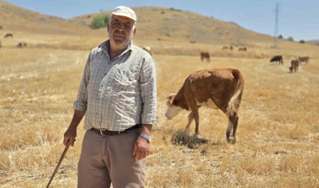Mustafa Bükücü, 40 yıldır Sorgun'da çobanlık yaparak ekonomik özgürlüğün ve