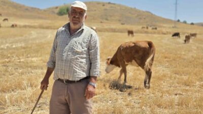 Mustafa Bükücü, 40 yıldır Sorgun'da çobanlık yaparak ekonomik özgürlüğün ve