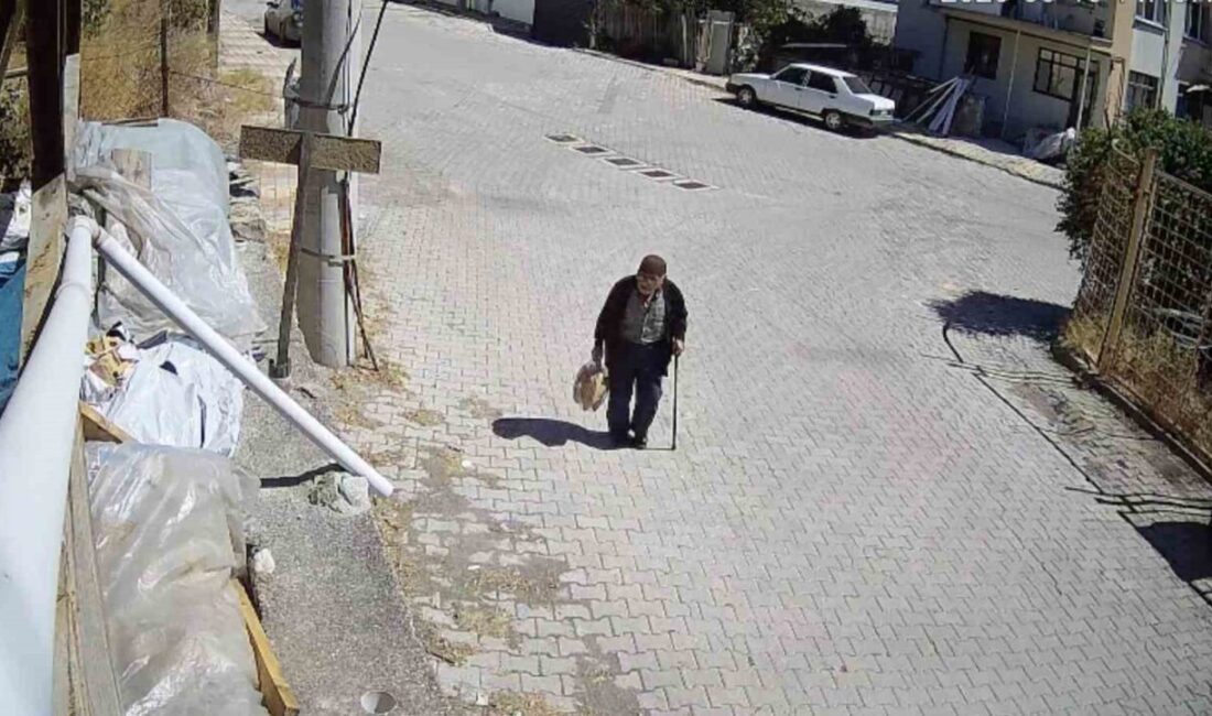Çorum'un İskilip ilçesinde kaybolan Eldivas Babayiğit'in arama çalışmaları devam ediyor.