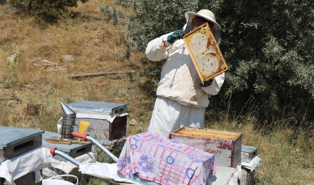 Yozgat’ta arıcılığın gelişmesine ve doğal yaşamın korunmasına katkı sağlayacak önemli