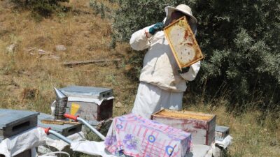 Yozgat’ta arıcılığın gelişmesine ve doğal yaşamın korunmasına katkı sağlayacak önemli