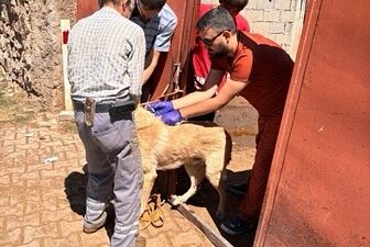 İl genelinde sahipli hayvanların kuduz aşılarının yapılması ve mikroçip ile