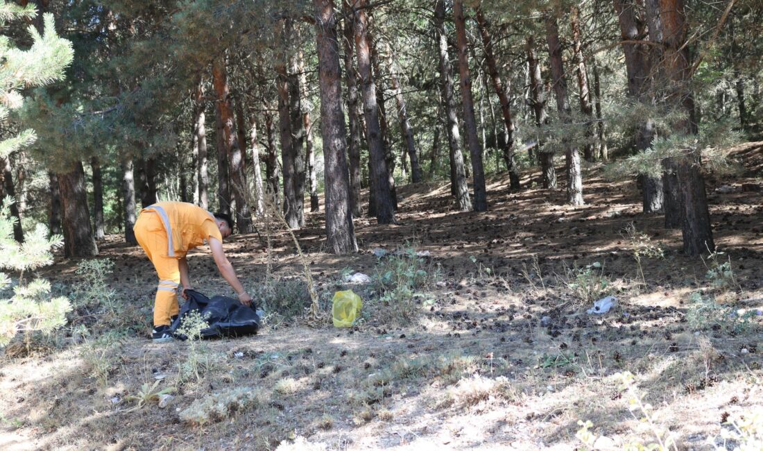 Doğanın bize sunduğu en değerli hazinelerden biri olan ormanlar, hem