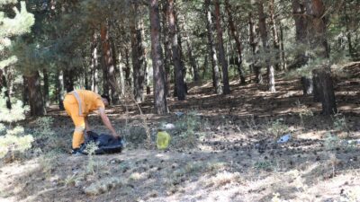 Doğanın bize sunduğu en değerli hazinelerden biri olan ormanlar, hem