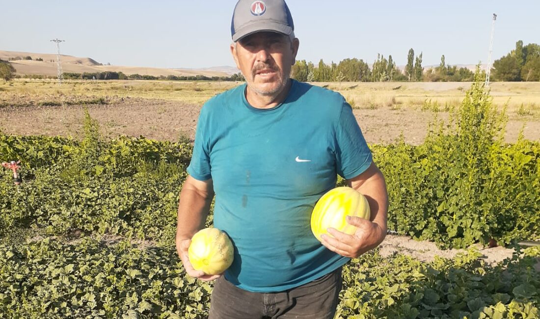 Yozgat’ın Yerköy ilçesine bağlı Aydın Gün Midilli Köyü sakinlerinden Raim