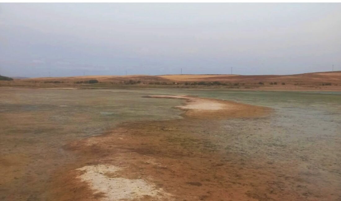 Çiçekdağı ilçesine bağlı Gölcük Köyü’nde bulunan gölet, kuraklık ve ihmallerin