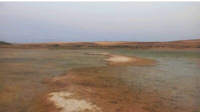Çiçekdağı ilçesine bağlı Gölcük Köyü’nde bulunan gölet, kuraklık ve ihmallerin