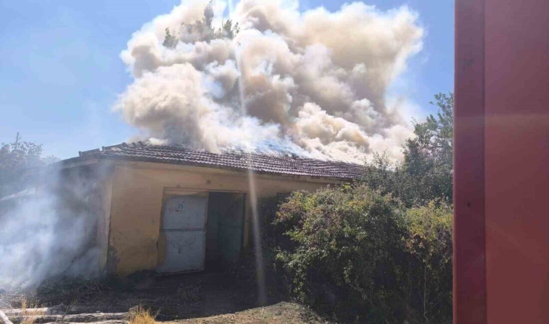 Çorum'un Sungurlu ilçesinde tarladaki yangın, tohum selektör binasına sıçradı. İtfaiye