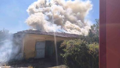 Çorum'un Sungurlu ilçesinde tarladaki yangın, tohum selektör binasına sıçradı. İtfaiye