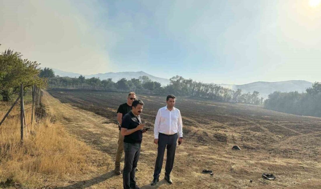 Kırşehir'in Kaman ilçesine bağlı Kurancılı Başköy mevkiinde çıkan orman yangını